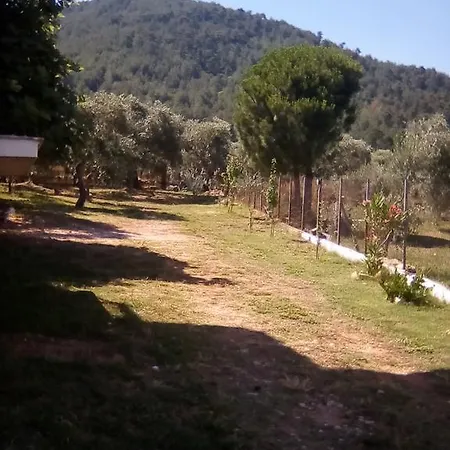 Doukas 3* Skala Rachoni (Thasos)